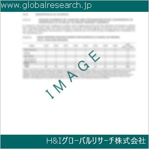 グローバルリサーチ調査資料のイメージ